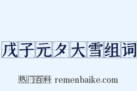 戊子元夕大雪组词是什么意思的图片